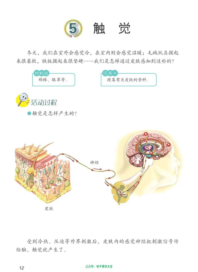 06六制六下科学（新教材）_电子课本_小学电子课本_05科学_青岛版（63、54版）_小学科学青岛六三制1-6下册