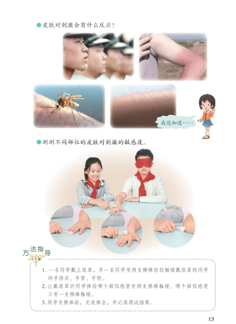 06六制六下科学（新教材）_电子课本_小学电子课本_05科学_青岛版（63、54版）_小学科学青岛六三制1-6下册