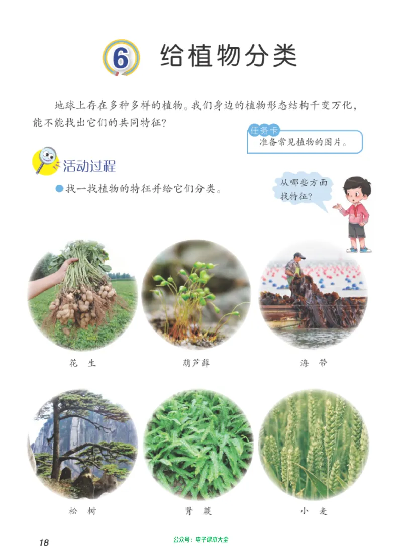 06六制六下科学（新教材）_电子课本_小学电子课本_05科学_青岛版（63、54版）_小学科学青岛六三制1-6下册