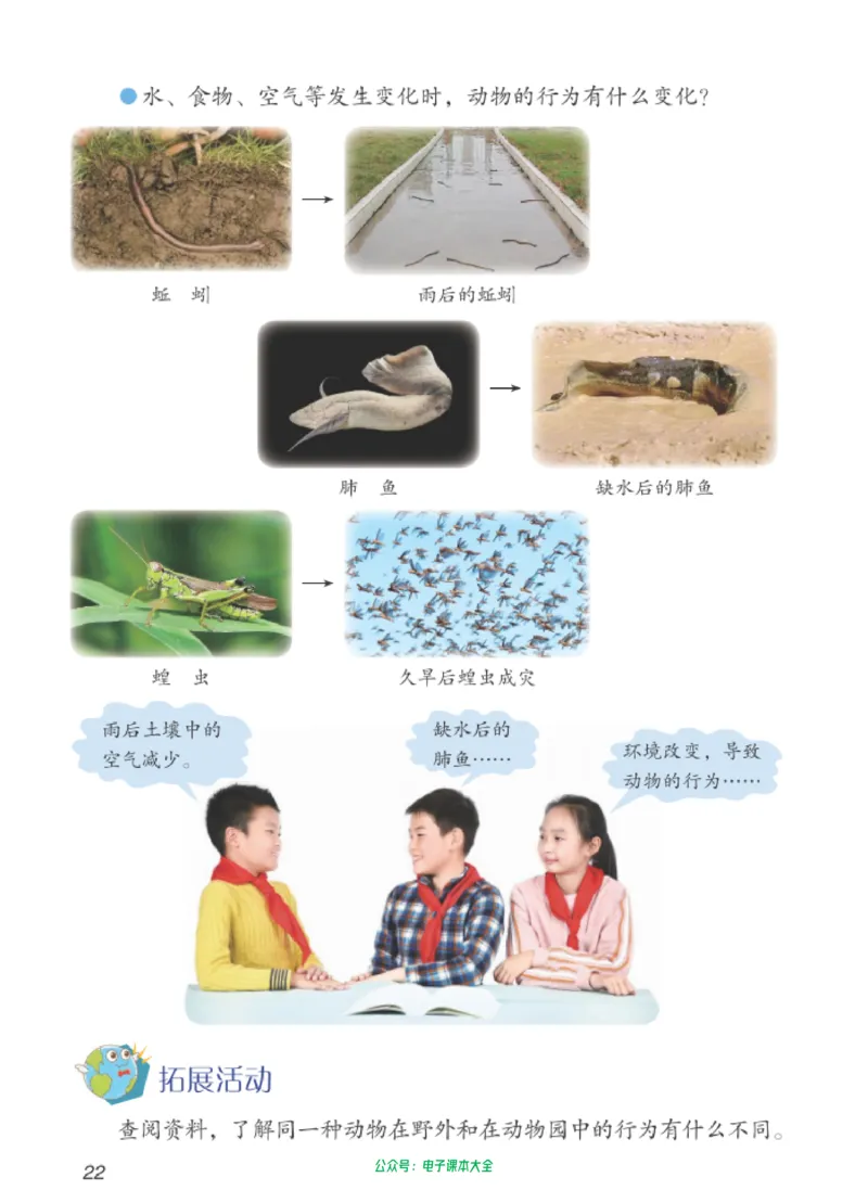 06六制六下科学（新教材）_电子课本_小学电子课本_05科学_青岛版（63、54版）_小学科学青岛六三制1-6下册