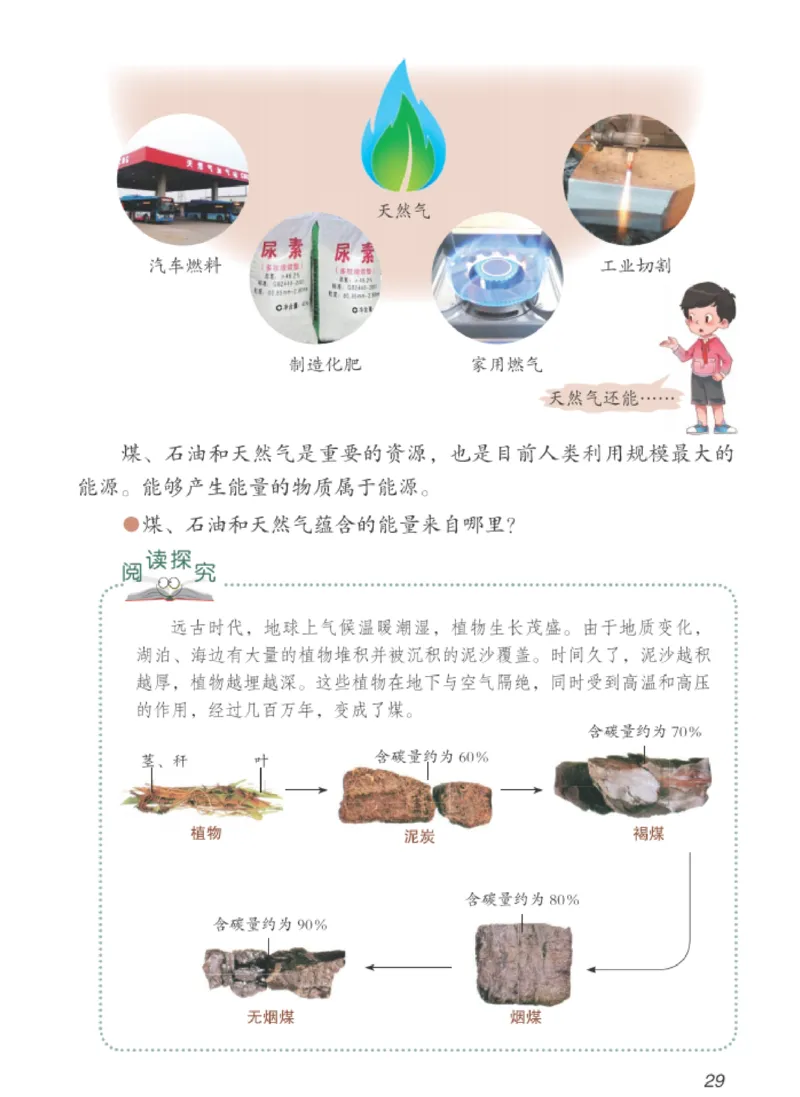 06六制六下科学（新教材）_电子课本_小学电子课本_05科学_青岛版（63、54版）_小学科学青岛六三制1-6下册