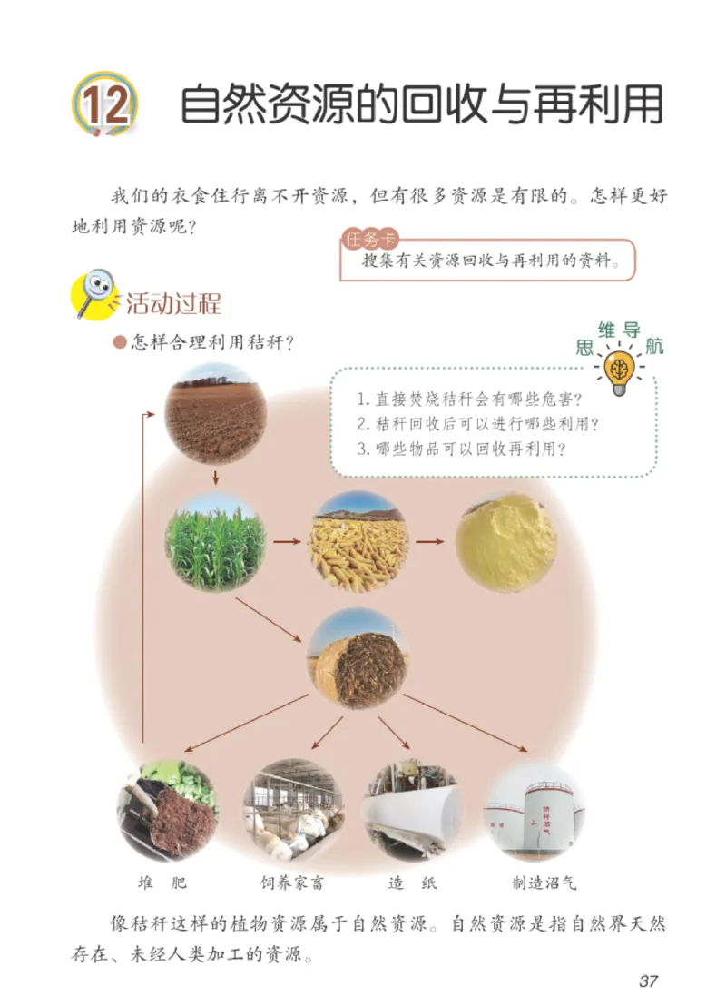 06六制六下科学（新教材）_电子课本_小学电子课本_05科学_青岛版（63、54版）_小学科学青岛六三制1-6下册