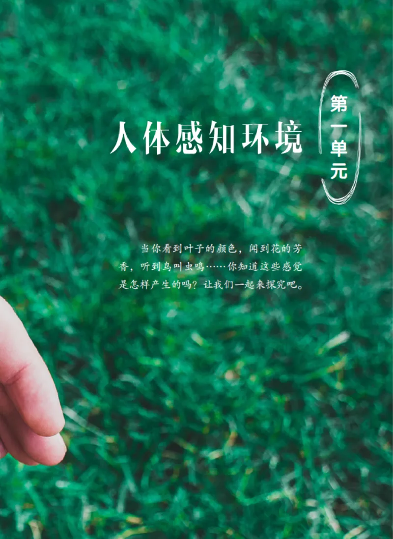 06六制六下科学（新教材）_电子课本_小学电子课本_05科学_青岛版（63、54版）_小学科学青岛六三制1-6下册