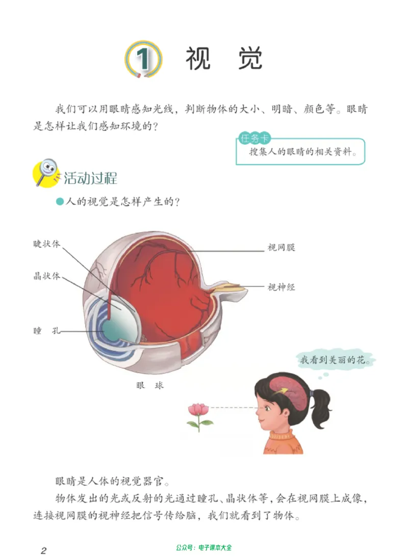 06六制六下科学（新教材）_电子课本_小学电子课本_05科学_青岛版（63、54版）_小学科学青岛六三制1-6下册