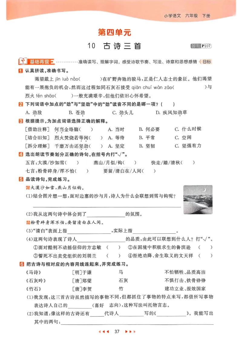 53天天练人教语文6下_26春53小学系列合集_1-6年级语文下册人教版《53天天练》