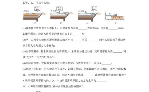广东省深圳市高级中学高中园理慧高中2024-2025学年高一上学期入学检测物理试卷_高中三年全科资料_高中_初升高衔接新高一（语数英物2026版）_衔接新高一物理_衔接新高一-物理分班考模拟卷