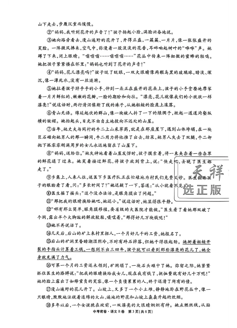 2026《天祥教育&bull;河南中考密卷》语文B卷_中考押题2026《中考押题》系列（9科全套实时更新中）_2026版中考《天祥教育中考密卷AB》7科全套（河南）