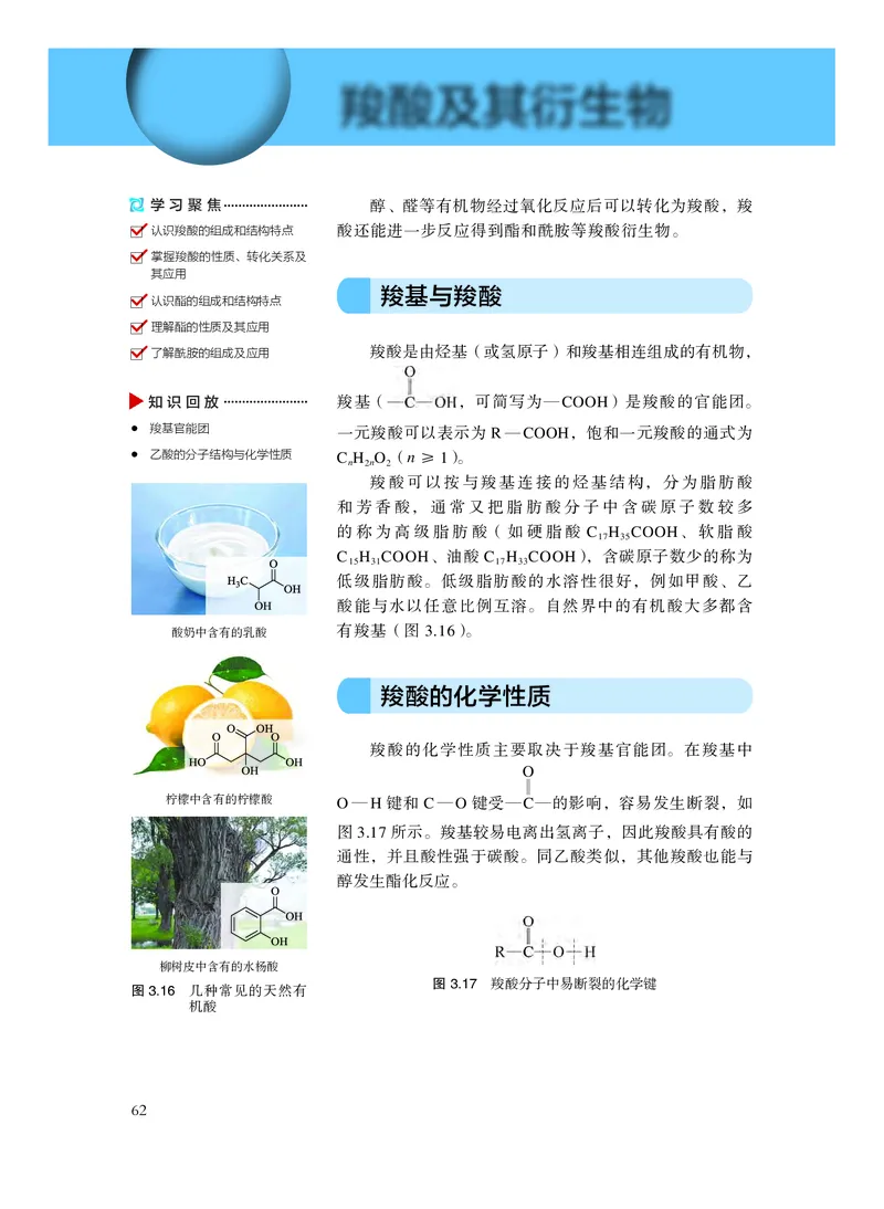化学选择性必修3有机化学基础_高中三年全科资料_高中_高中电子教材_高中化学_沪科版
