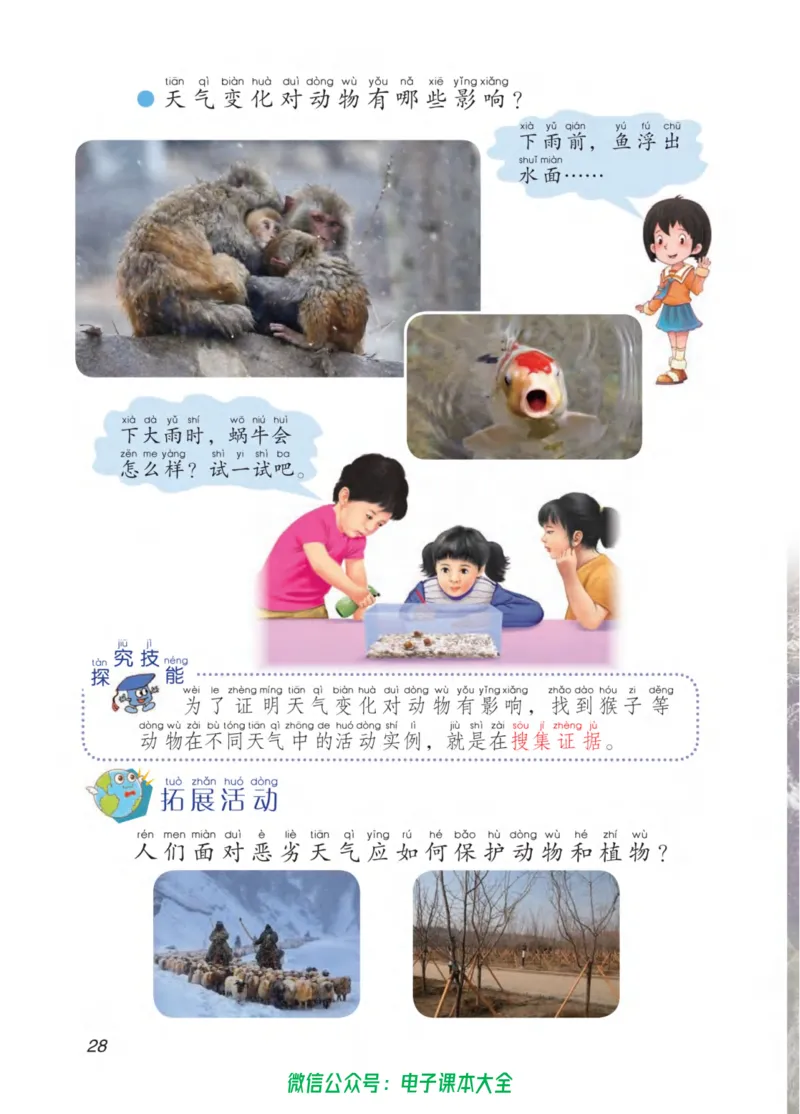 02六制二下科学_电子课本_小学电子课本_05科学_青岛版（63、54版）_小学科学青岛六三制1-6下册