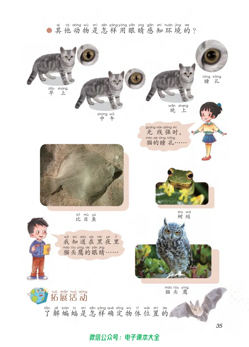 02六制二下科学_电子课本_小学电子课本_05科学_青岛版（63、54版）_小学科学青岛六三制1-6下册