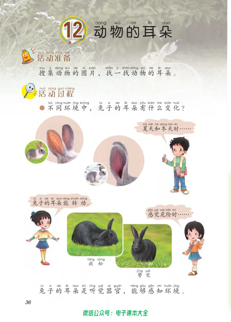 02六制二下科学_电子课本_小学电子课本_05科学_青岛版（63、54版）_小学科学青岛六三制1-6下册
