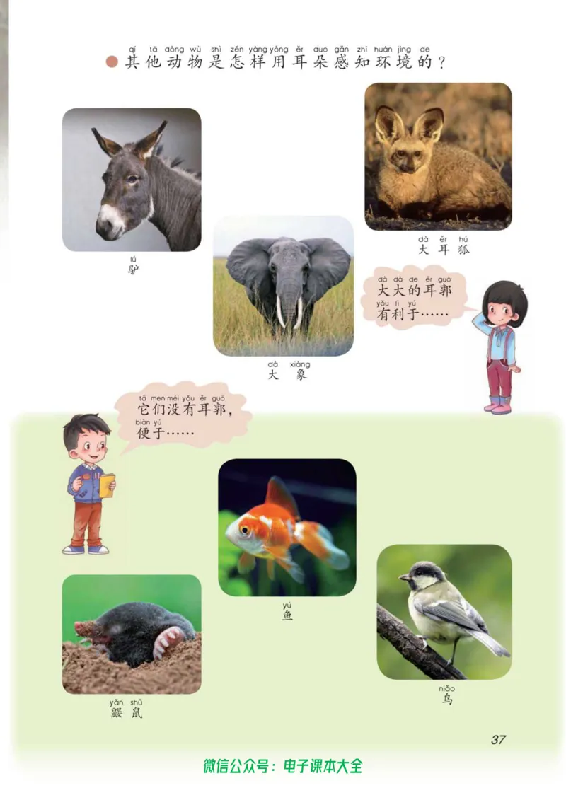 02六制二下科学_电子课本_小学电子课本_05科学_青岛版（63、54版）_小学科学青岛六三制1-6下册