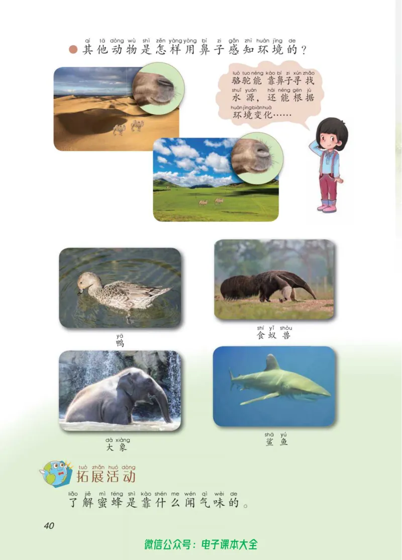 02六制二下科学_电子课本_小学电子课本_05科学_青岛版（63、54版）_小学科学青岛六三制1-6下册