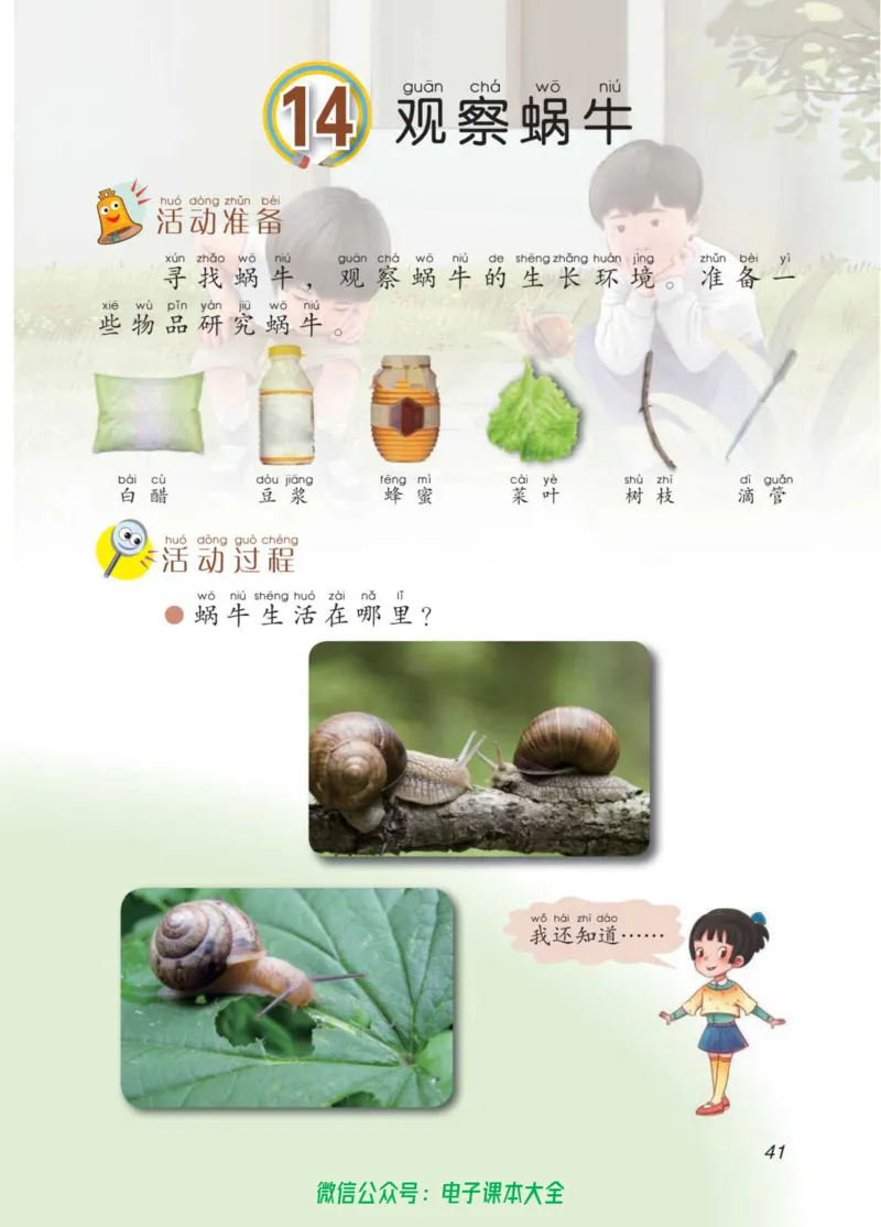 02六制二下科学_电子课本_小学电子课本_05科学_青岛版（63、54版）_小学科学青岛六三制1-6下册