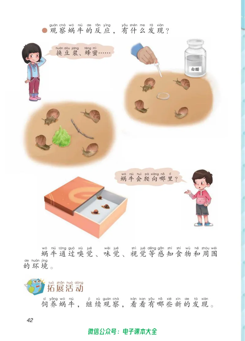 02六制二下科学_电子课本_小学电子课本_05科学_青岛版（63、54版）_小学科学青岛六三制1-6下册