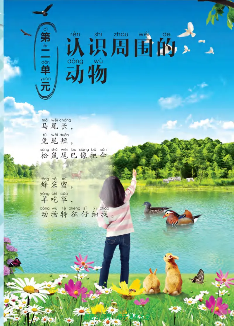 01六制一下科学_电子课本_小学电子课本_05科学_青岛版（63、54版）_小学科学青岛六三制1-6下册