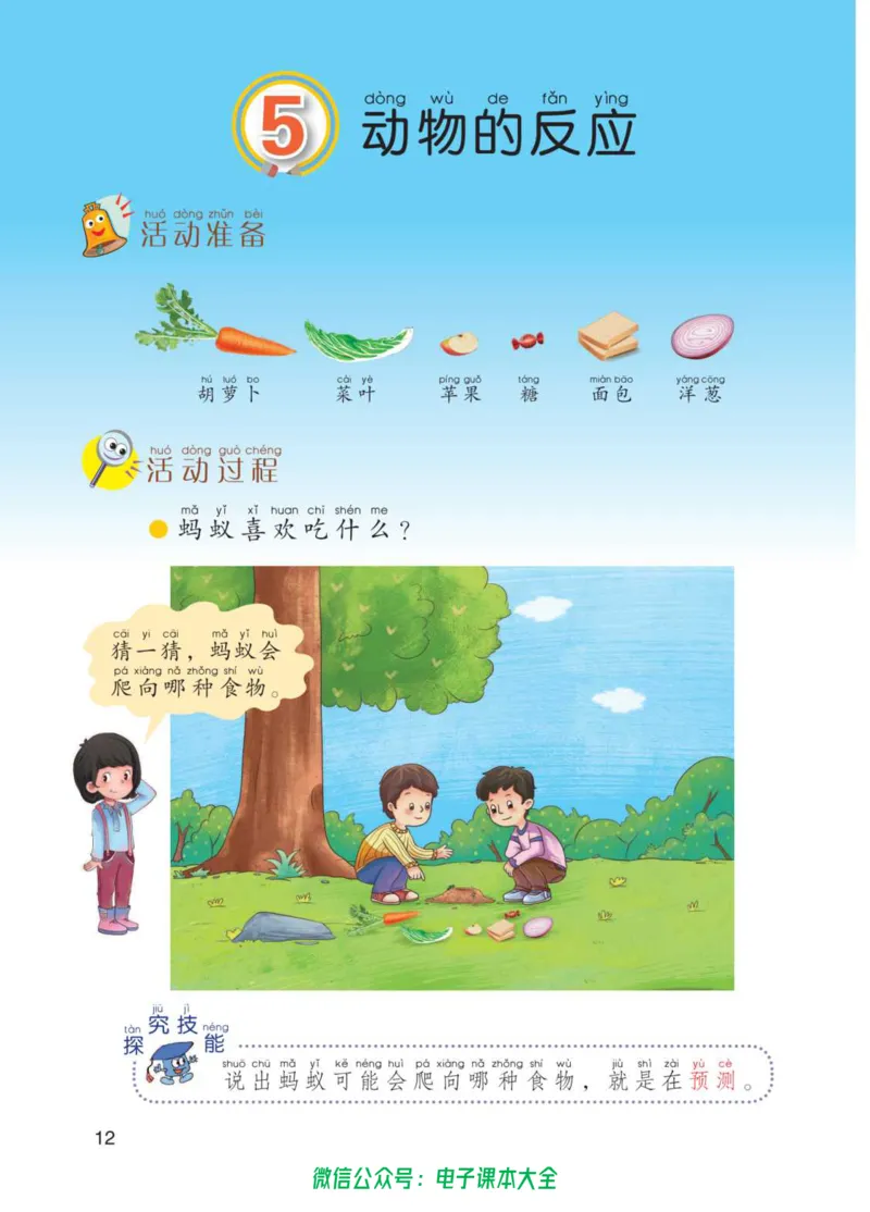 01六制一下科学_电子课本_小学电子课本_05科学_青岛版（63、54版）_小学科学青岛六三制1-6下册