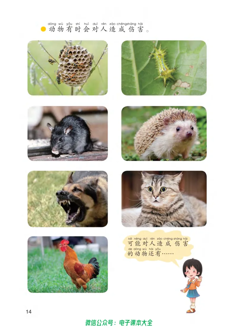 01六制一下科学_电子课本_小学电子课本_05科学_青岛版（63、54版）_小学科学青岛六三制1-6下册