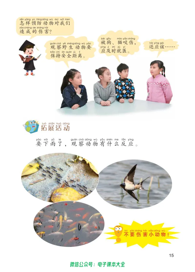 01六制一下科学_电子课本_小学电子课本_05科学_青岛版（63、54版）_小学科学青岛六三制1-6下册