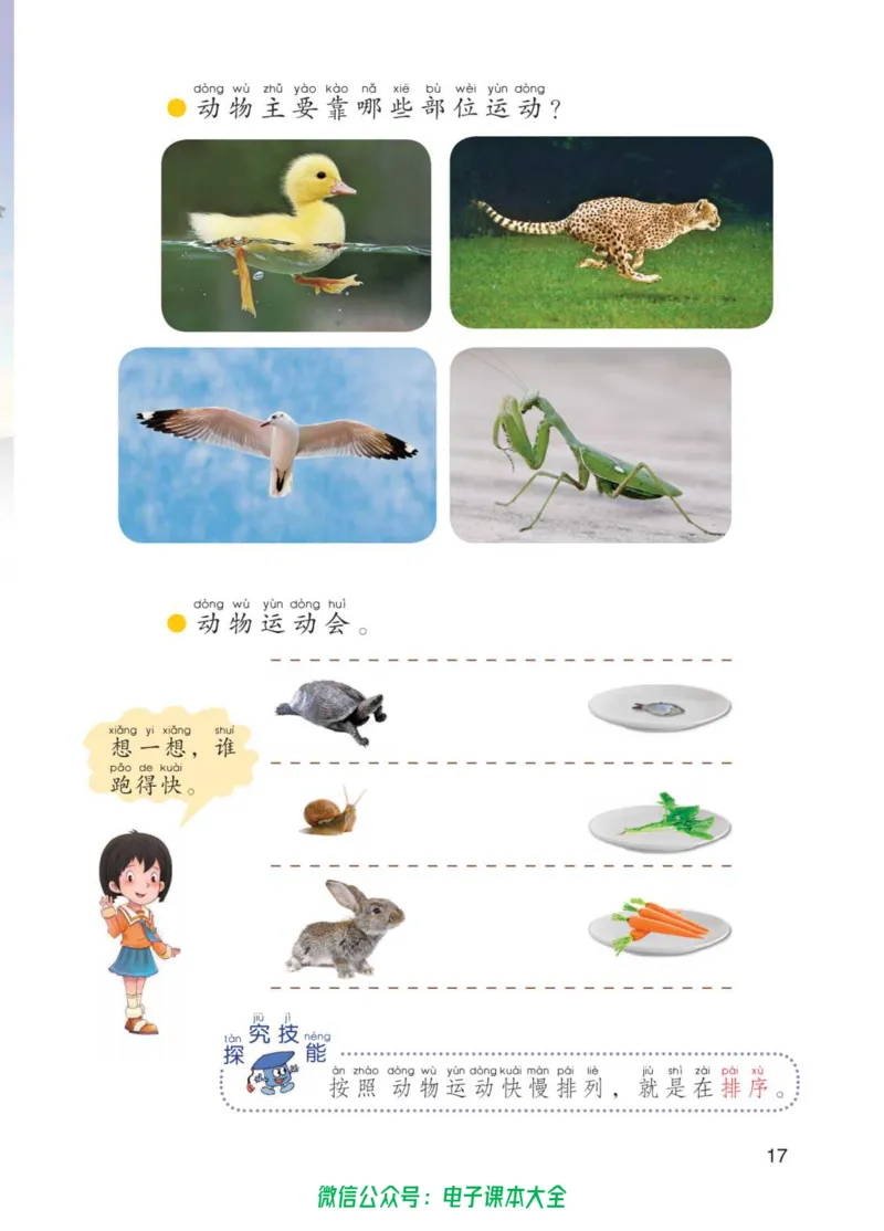 01六制一下科学_电子课本_小学电子课本_05科学_青岛版（63、54版）_小学科学青岛六三制1-6下册