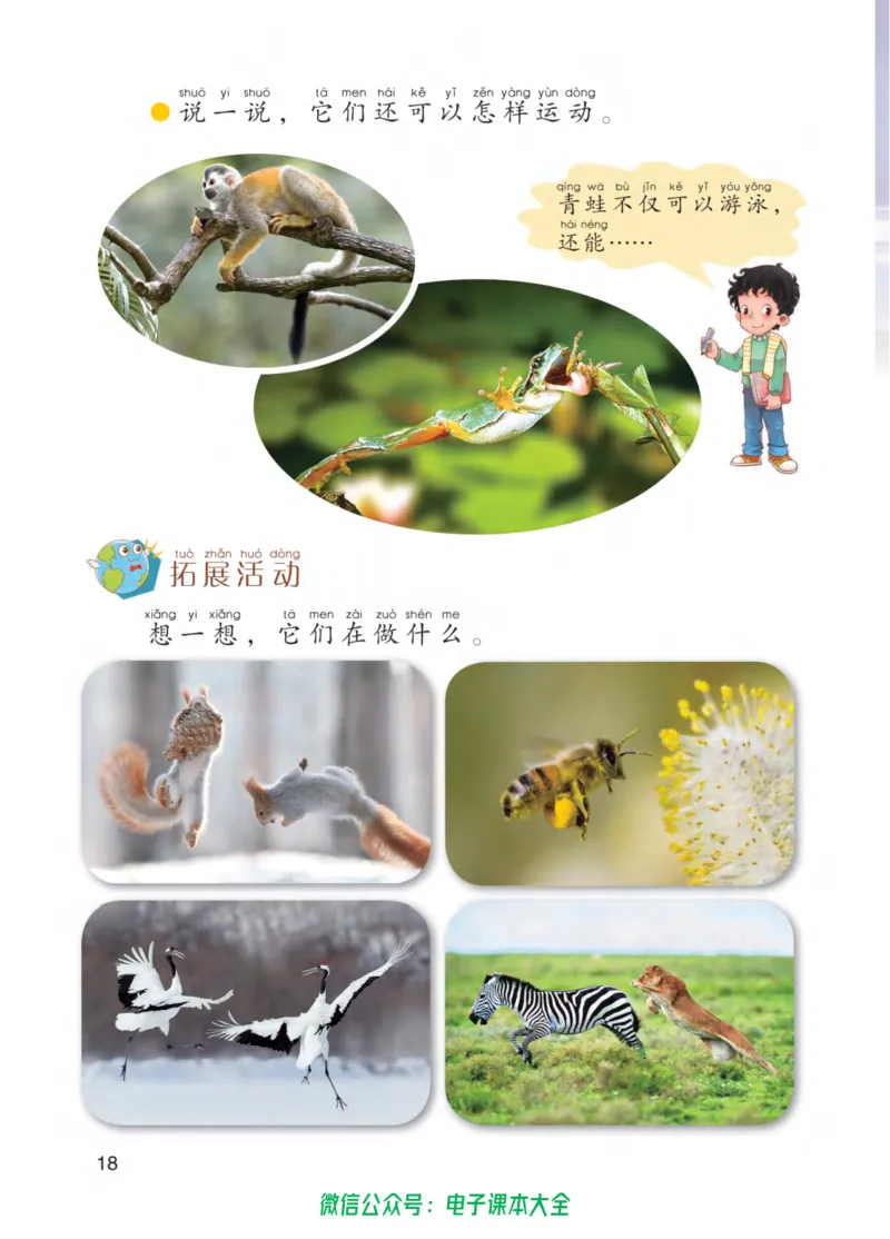 01六制一下科学_电子课本_小学电子课本_05科学_青岛版（63、54版）_小学科学青岛六三制1-6下册