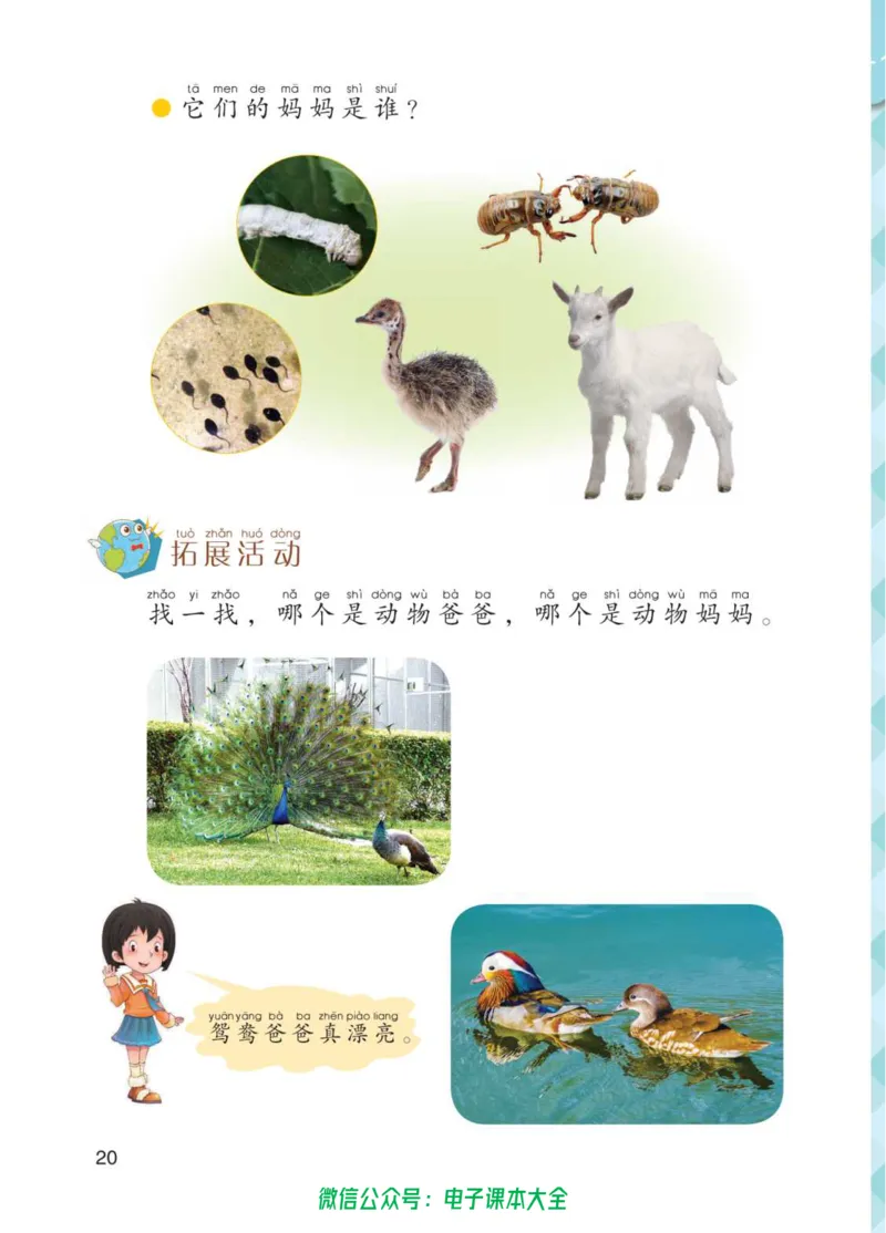 01六制一下科学_电子课本_小学电子课本_05科学_青岛版（63、54版）_小学科学青岛六三制1-6下册