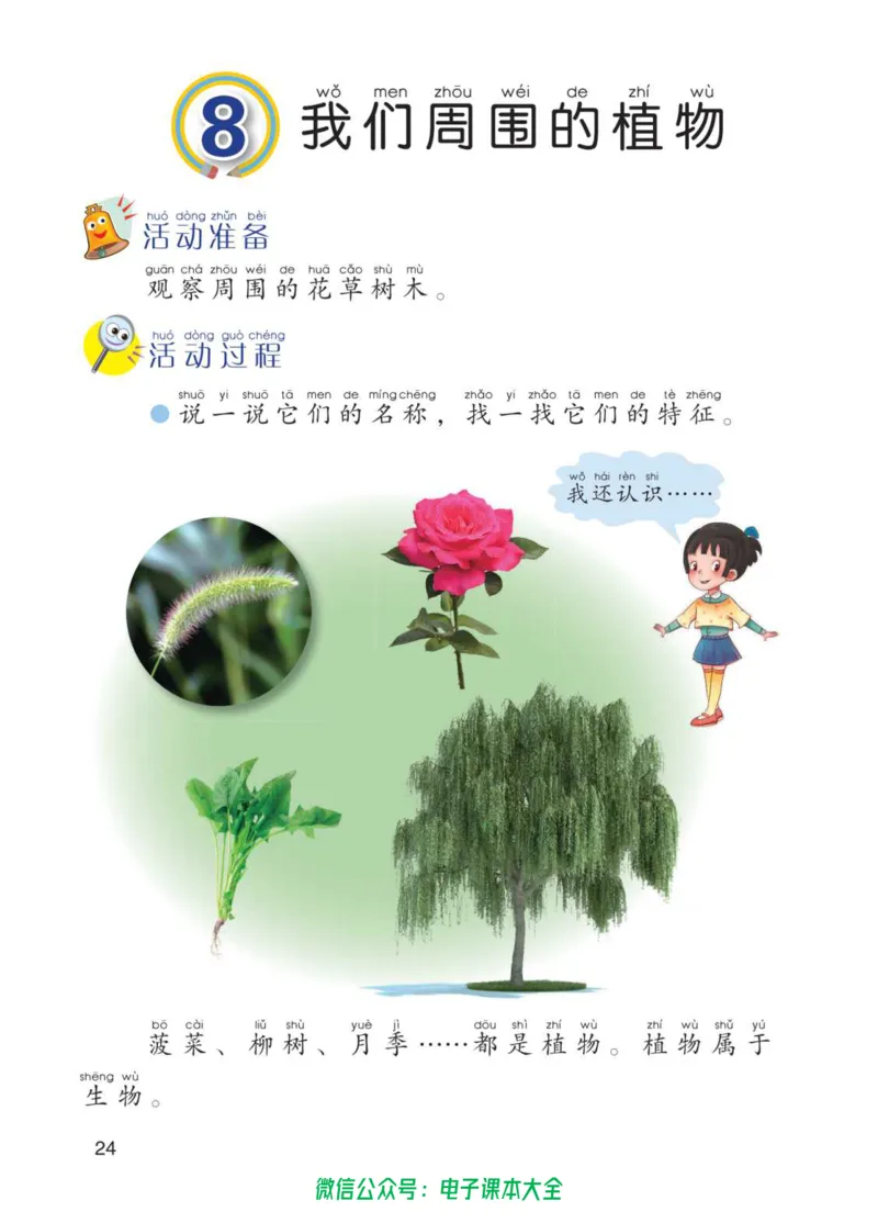 01六制一下科学_电子课本_小学电子课本_05科学_青岛版（63、54版）_小学科学青岛六三制1-6下册