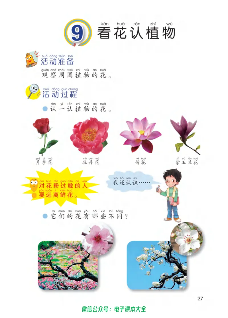 01六制一下科学_电子课本_小学电子课本_05科学_青岛版（63、54版）_小学科学青岛六三制1-6下册