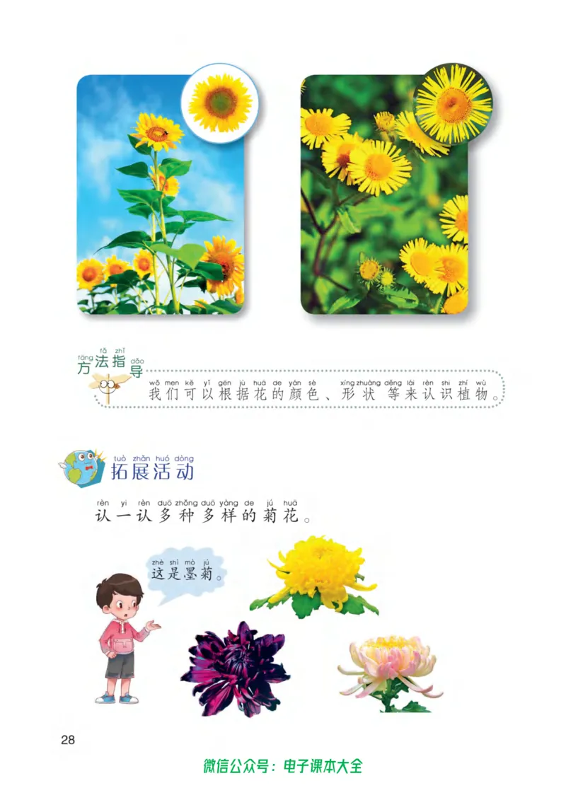 01六制一下科学_电子课本_小学电子课本_05科学_青岛版（63、54版）_小学科学青岛六三制1-6下册