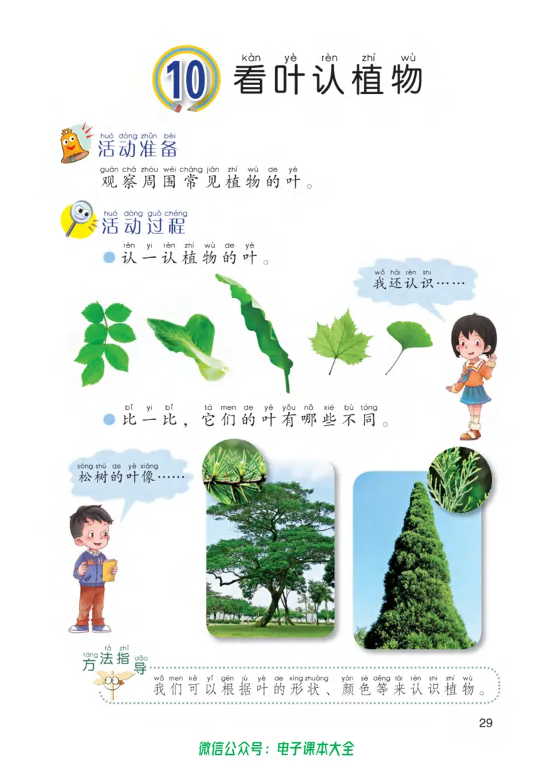 01六制一下科学_电子课本_小学电子课本_05科学_青岛版（63、54版）_小学科学青岛六三制1-6下册