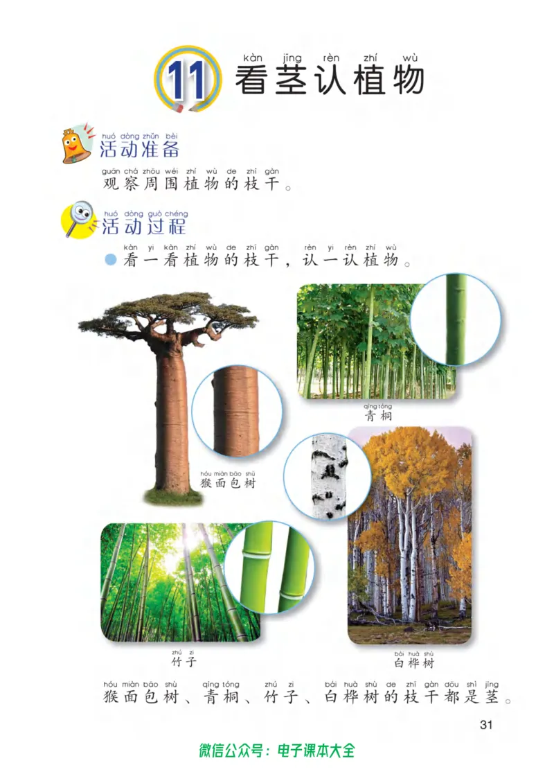 01六制一下科学_电子课本_小学电子课本_05科学_青岛版（63、54版）_小学科学青岛六三制1-6下册