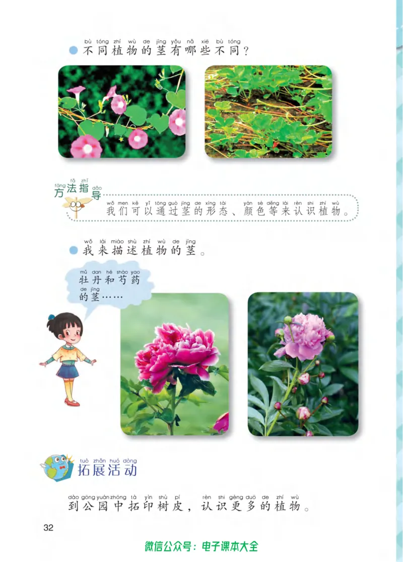 01六制一下科学_电子课本_小学电子课本_05科学_青岛版（63、54版）_小学科学青岛六三制1-6下册