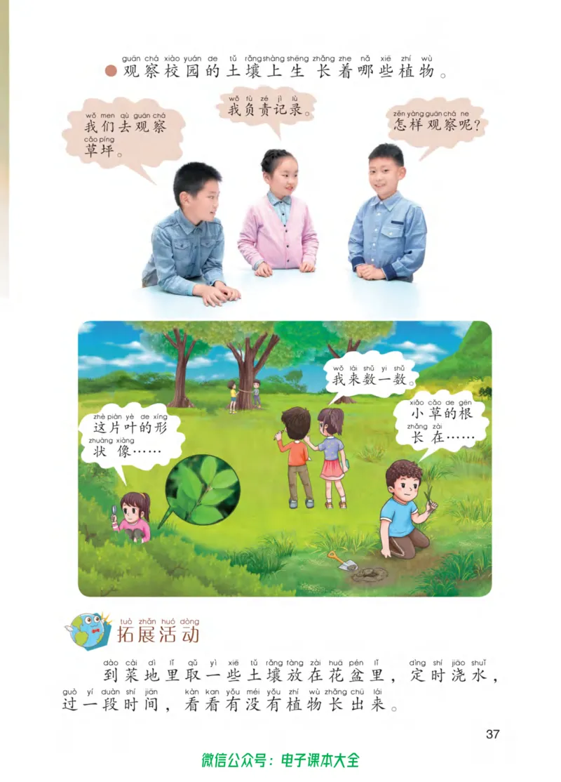01六制一下科学_电子课本_小学电子课本_05科学_青岛版（63、54版）_小学科学青岛六三制1-6下册