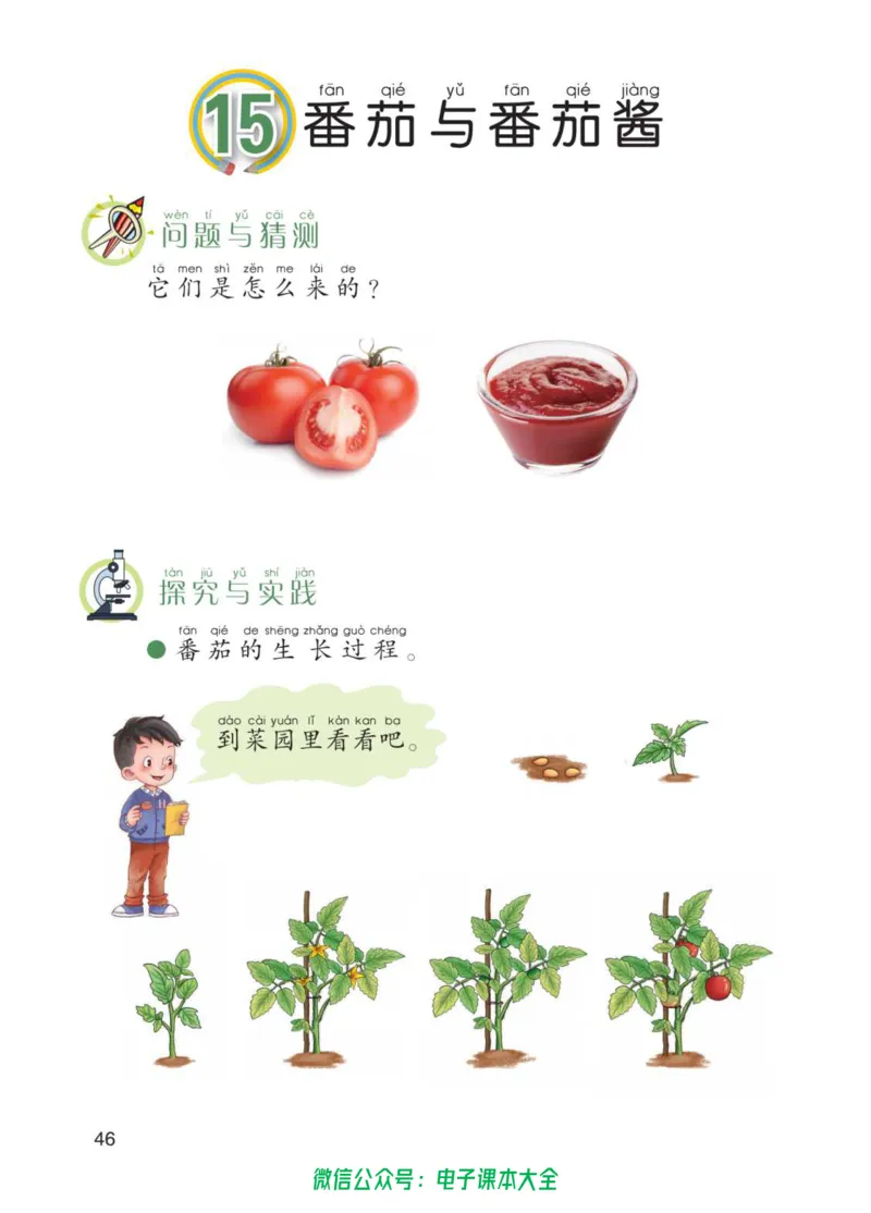 01六制一下科学_电子课本_小学电子课本_05科学_青岛版（63、54版）_小学科学青岛六三制1-6下册