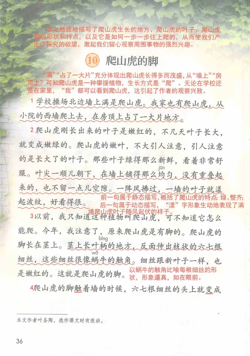 4年级上册_小学《课堂笔记》数学语文英语1-6年级下册_小学语文《课堂笔记》1-6年级下册（26春）_小学语文《课堂笔记》1-6年级上册（25秋）_4年级上册（25秋更新）