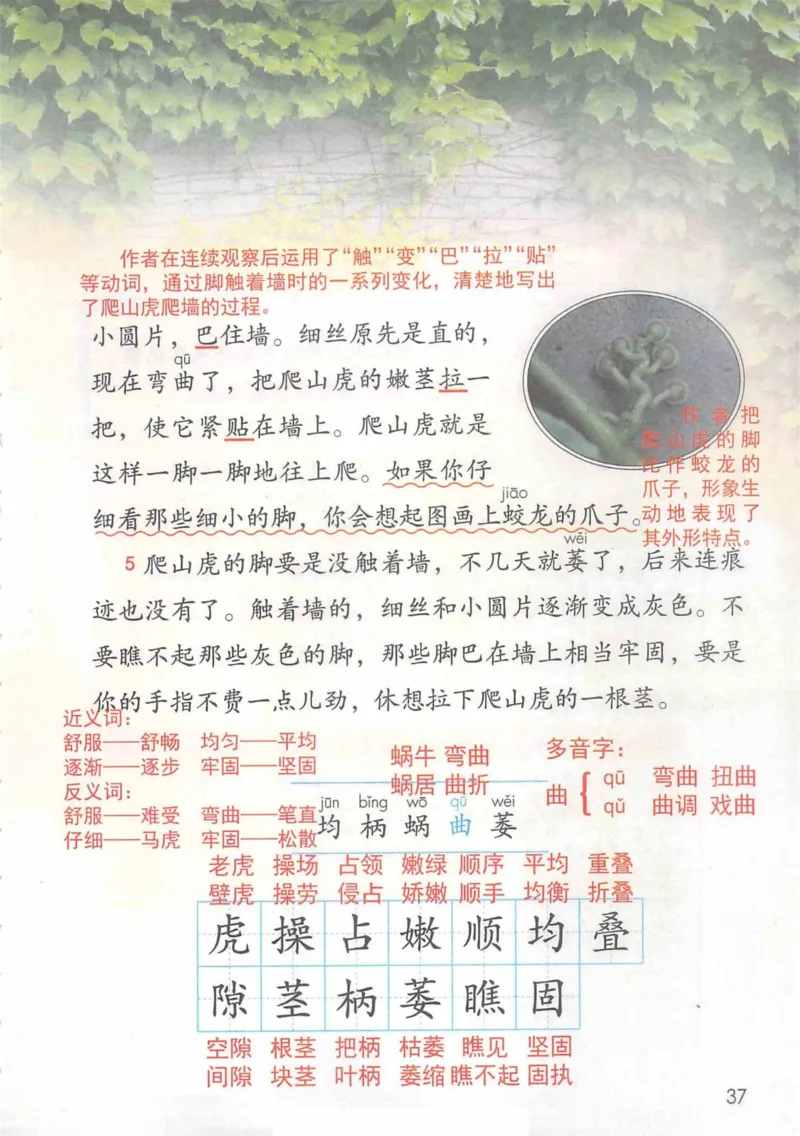 4年级上册_小学《课堂笔记》数学语文英语1-6年级下册_小学语文《课堂笔记》1-6年级下册（26春）_小学语文《课堂笔记》1-6年级上册（25秋）_4年级上册（25秋更新）