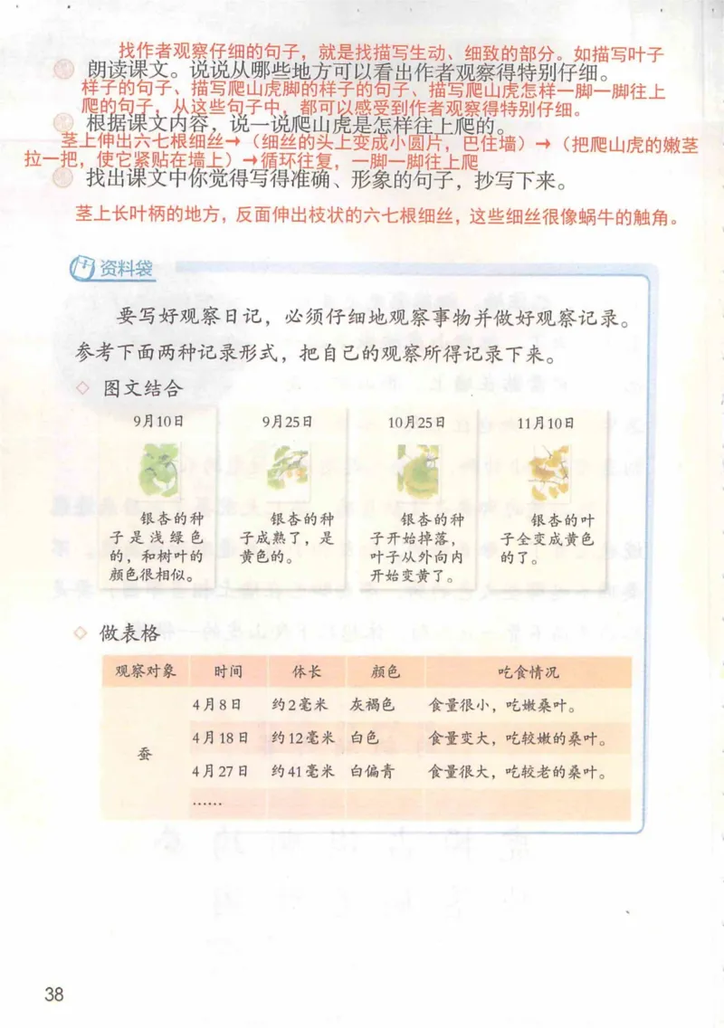 4年级上册_小学《课堂笔记》数学语文英语1-6年级下册_小学语文《课堂笔记》1-6年级下册（26春）_小学语文《课堂笔记》1-6年级上册（25秋）_4年级上册（25秋更新）