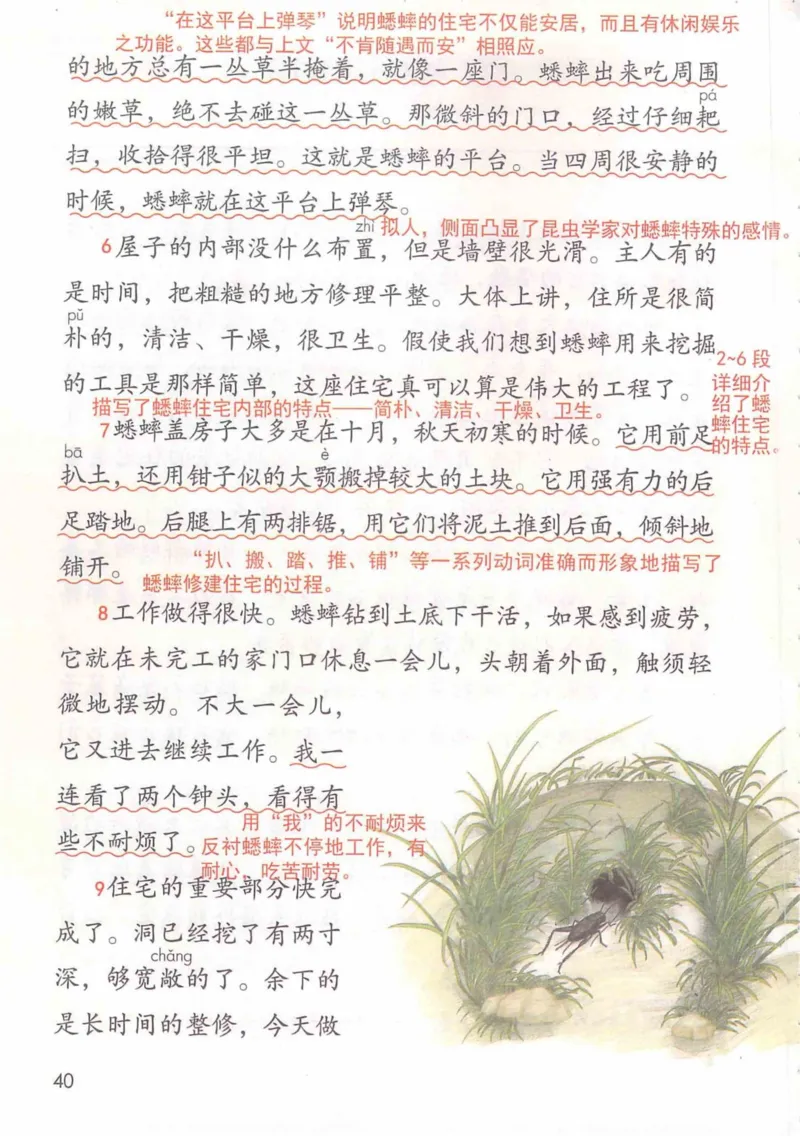 4年级上册_小学《课堂笔记》数学语文英语1-6年级下册_小学语文《课堂笔记》1-6年级下册（26春）_小学语文《课堂笔记》1-6年级上册（25秋）_4年级上册（25秋更新）