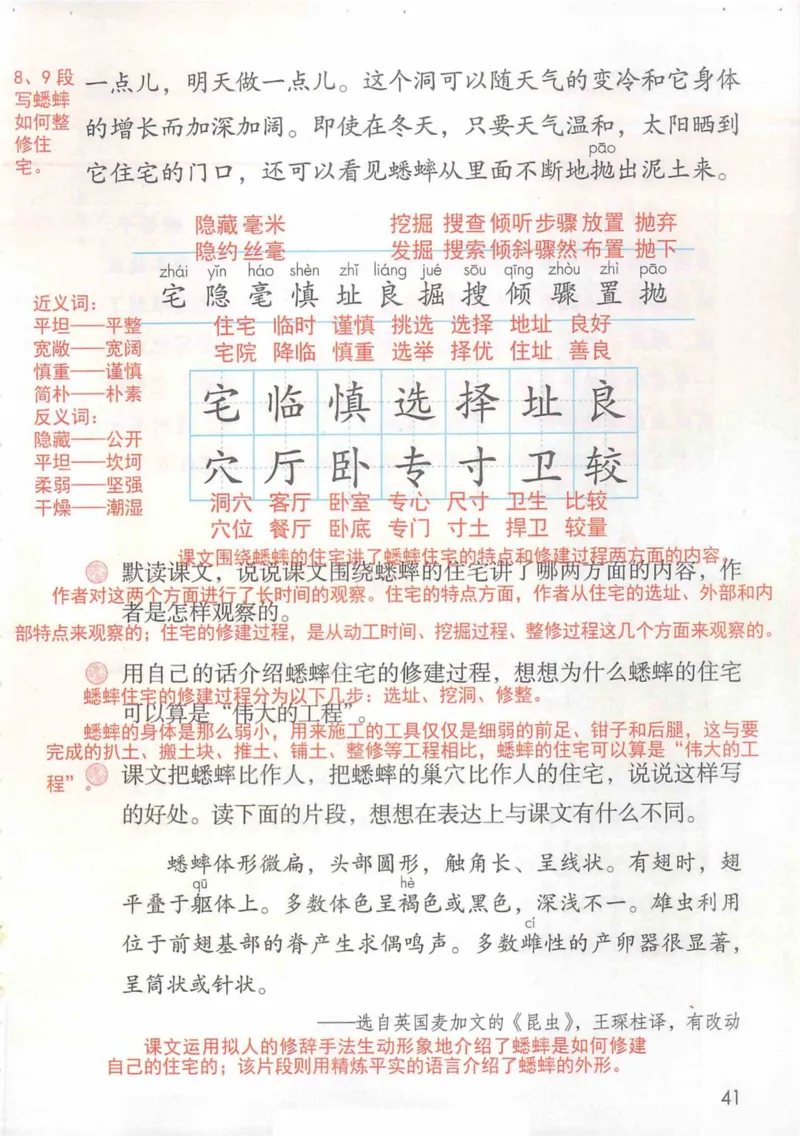 4年级上册_小学《课堂笔记》数学语文英语1-6年级下册_小学语文《课堂笔记》1-6年级下册（26春）_小学语文《课堂笔记》1-6年级上册（25秋）_4年级上册（25秋更新）