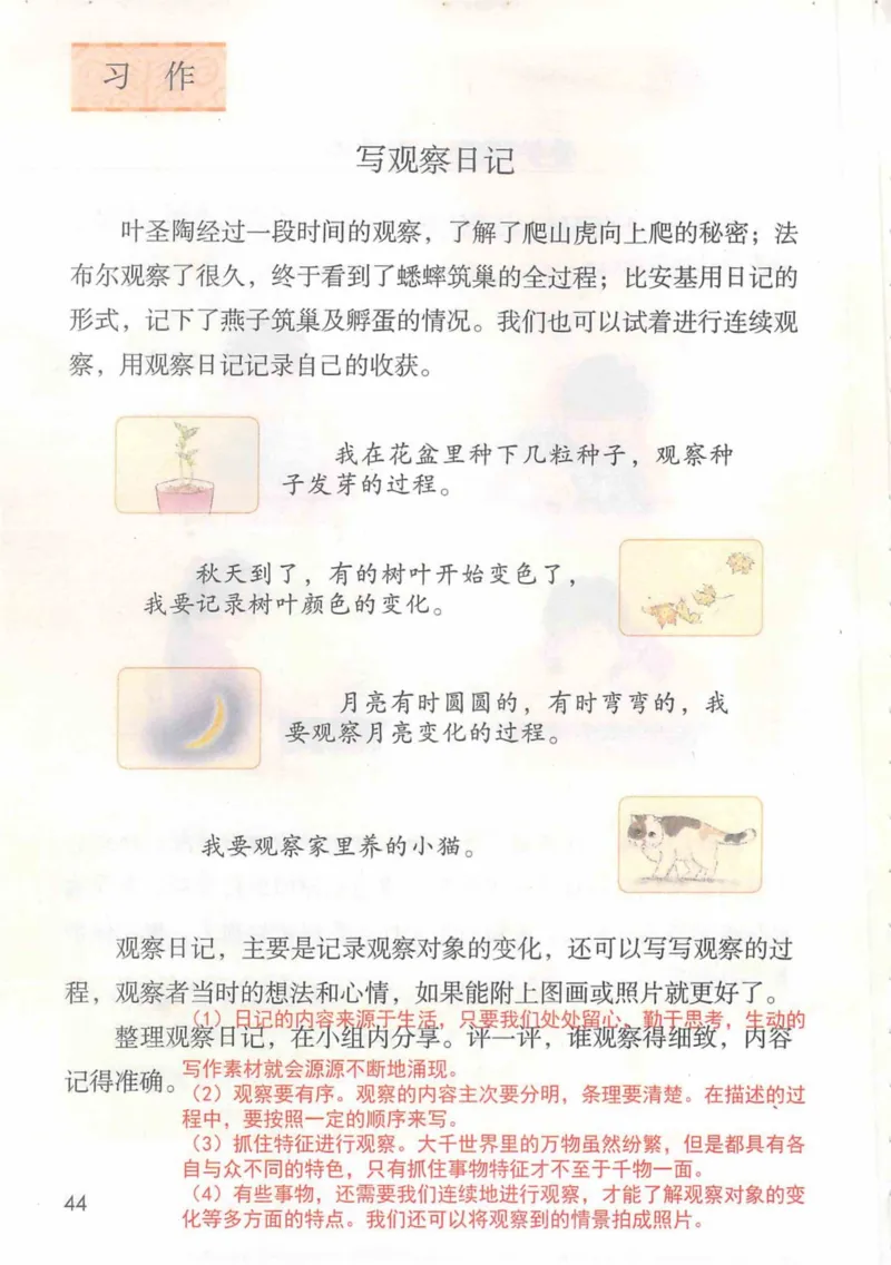 4年级上册_小学《课堂笔记》数学语文英语1-6年级下册_小学语文《课堂笔记》1-6年级下册（26春）_小学语文《课堂笔记》1-6年级上册（25秋）_4年级上册（25秋更新）