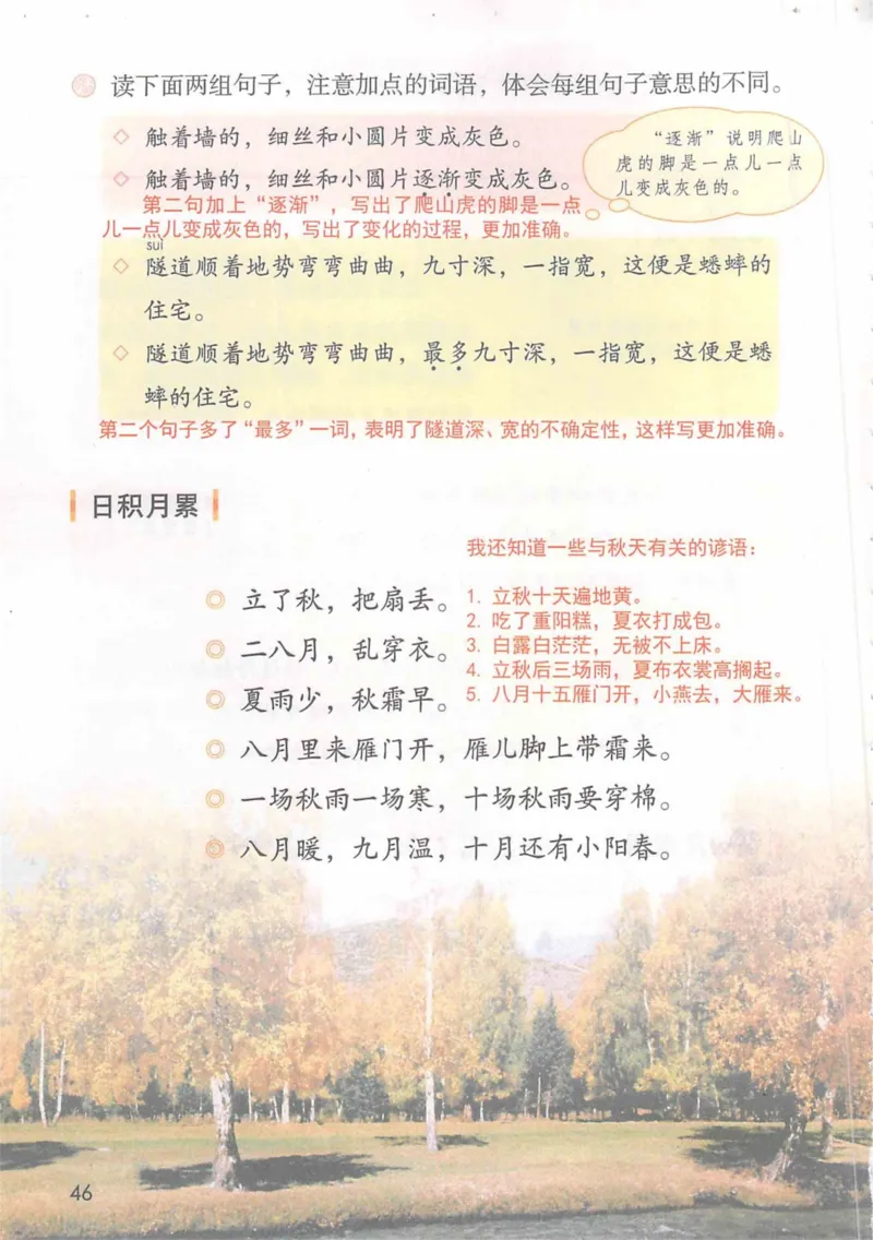 4年级上册_小学《课堂笔记》数学语文英语1-6年级下册_小学语文《课堂笔记》1-6年级下册（26春）_小学语文《课堂笔记》1-6年级上册（25秋）_4年级上册（25秋更新）