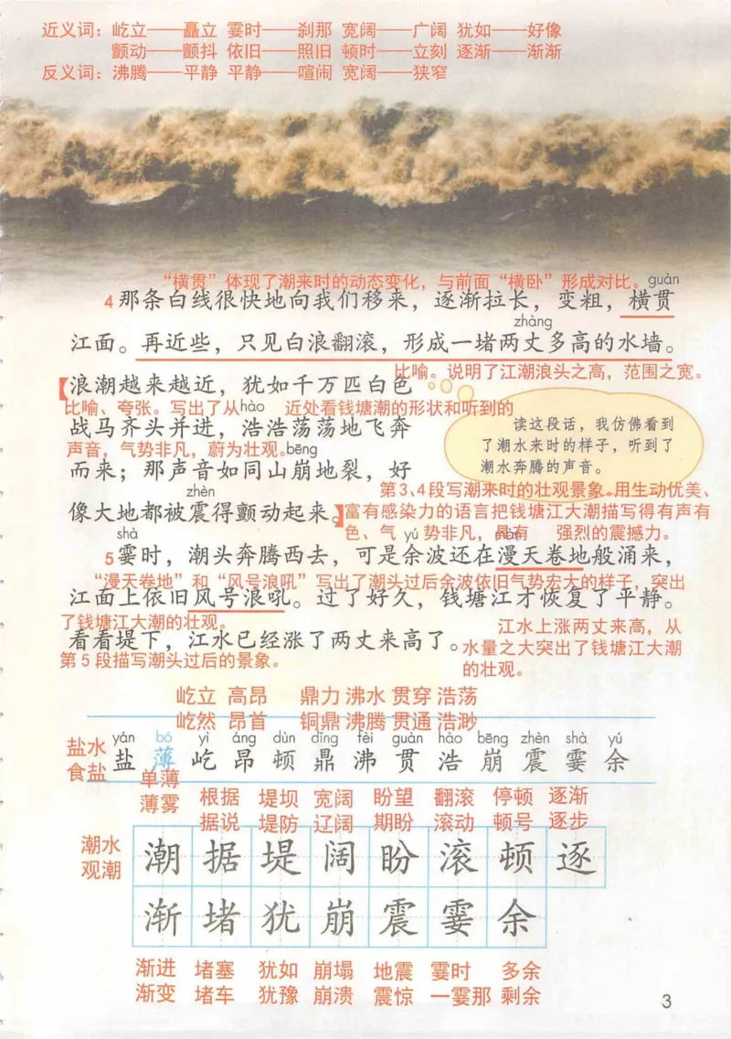 4年级上册_小学《课堂笔记》数学语文英语1-6年级下册_小学语文《课堂笔记》1-6年级下册（26春）_小学语文《课堂笔记》1-6年级上册（25秋）_4年级上册（25秋更新）