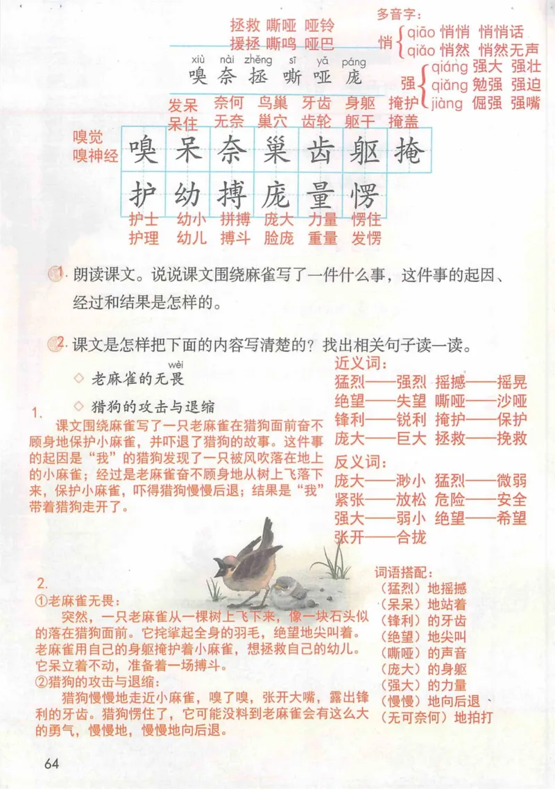4年级上册_小学《课堂笔记》数学语文英语1-6年级下册_小学语文《课堂笔记》1-6年级下册（26春）_小学语文《课堂笔记》1-6年级上册（25秋）_4年级上册（25秋更新）