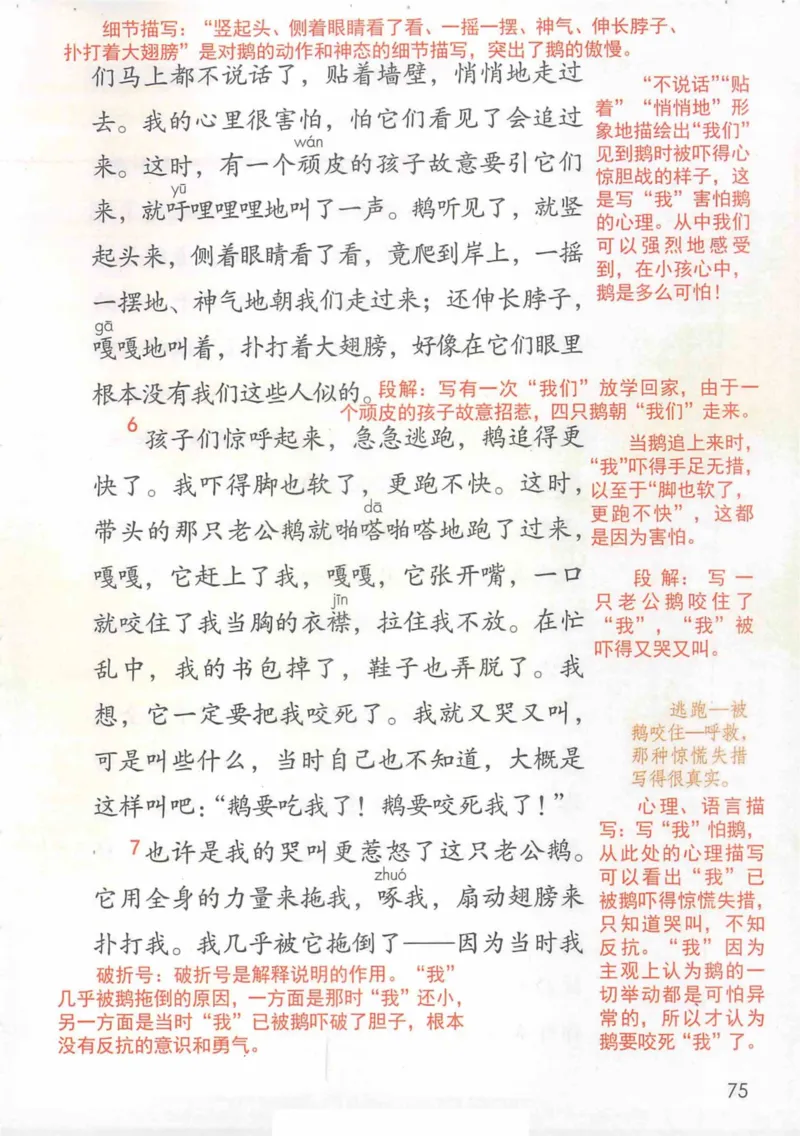 4年级上册_小学《课堂笔记》数学语文英语1-6年级下册_小学语文《课堂笔记》1-6年级下册（26春）_小学语文《课堂笔记》1-6年级上册（25秋）_4年级上册（25秋更新）