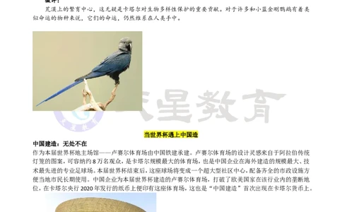 卡塔尔世界杯隐含的知识点_高中三年全科资料_高中_1高中基础资料包_C-热点事件知识点解读