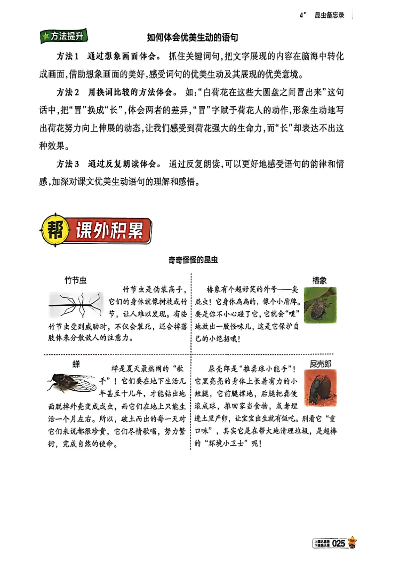 3年级语文下册《教材帮》26春_2026春小学教辅大合集_5-26春《天星教育》系列_26春完整版《教材帮》语文1-6下_26春三下人教版语文《教材帮》