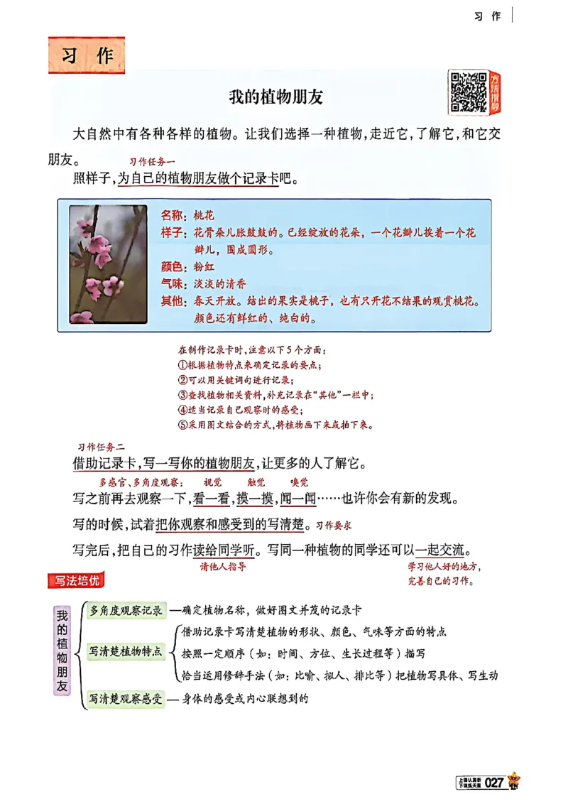 3年级语文下册《教材帮》26春_2026春小学教辅大合集_5-26春《天星教育》系列_26春完整版《教材帮》语文1-6下_26春三下人教版语文《教材帮》