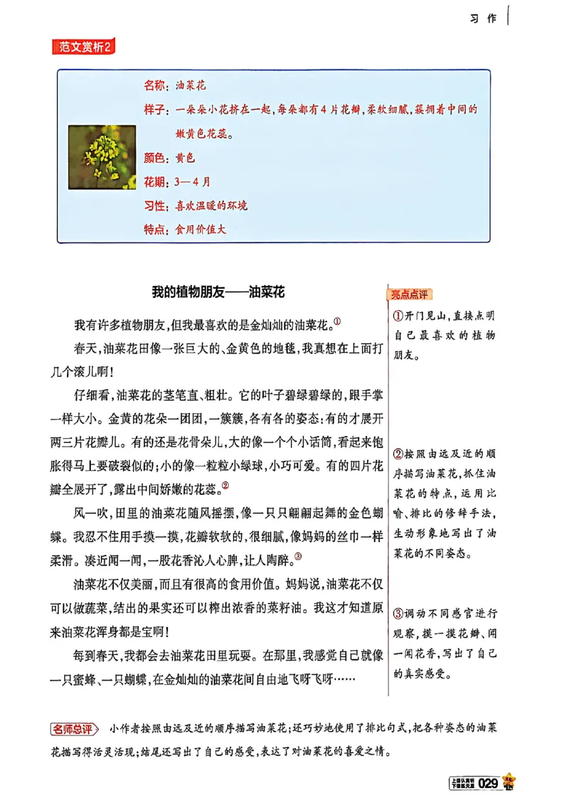 3年级语文下册《教材帮》26春_2026春小学教辅大合集_5-26春《天星教育》系列_26春完整版《教材帮》语文1-6下_26春三下人教版语文《教材帮》