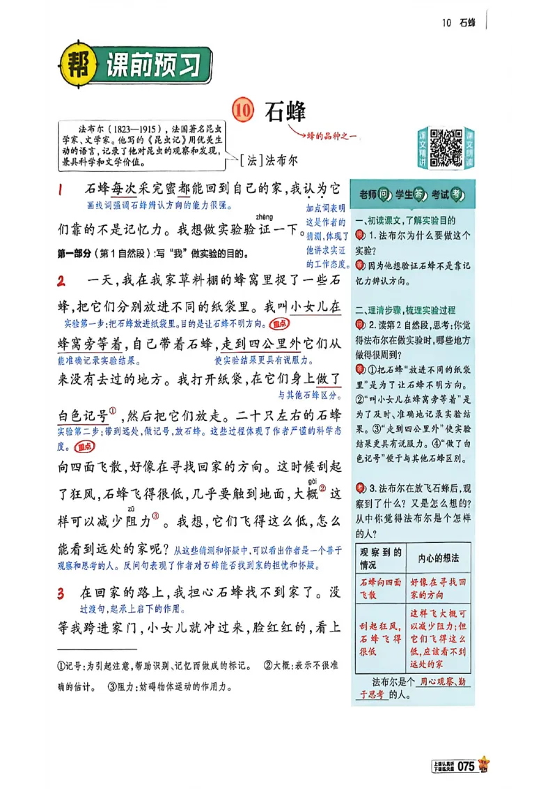 3年级语文下册《教材帮》26春_2026春小学教辅大合集_5-26春《天星教育》系列_26春完整版《教材帮》语文1-6下_26春三下人教版语文《教材帮》