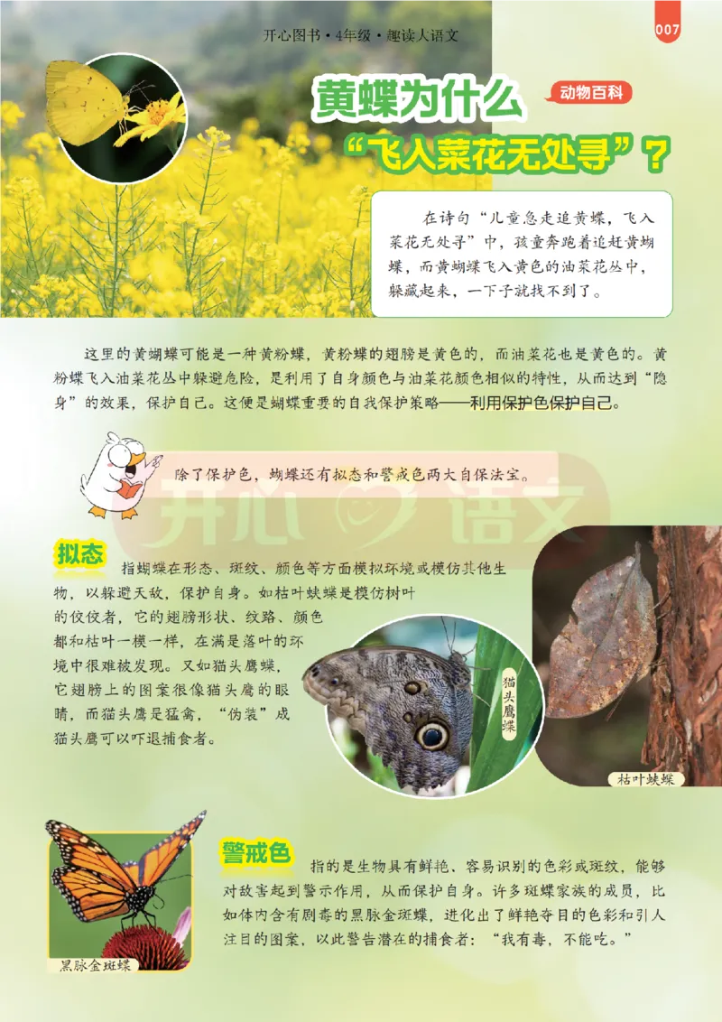4下趣读大语文-围绕课本做拓展的杂志_2026春小学教辅大合集_13-26春《开心》系列_《趣读》杂志系列_《趣读大语文》